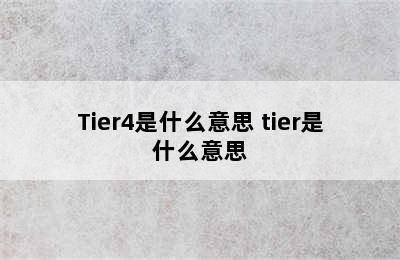 Tier4是什么意思 tier是什么意思